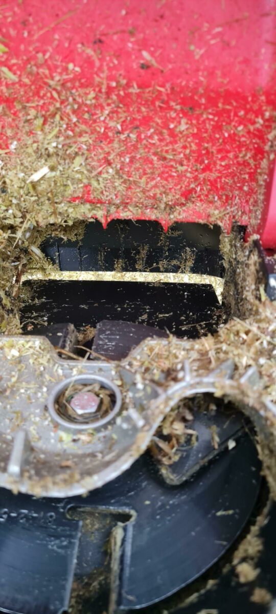 Image #2 from Alfred Tetzlaff