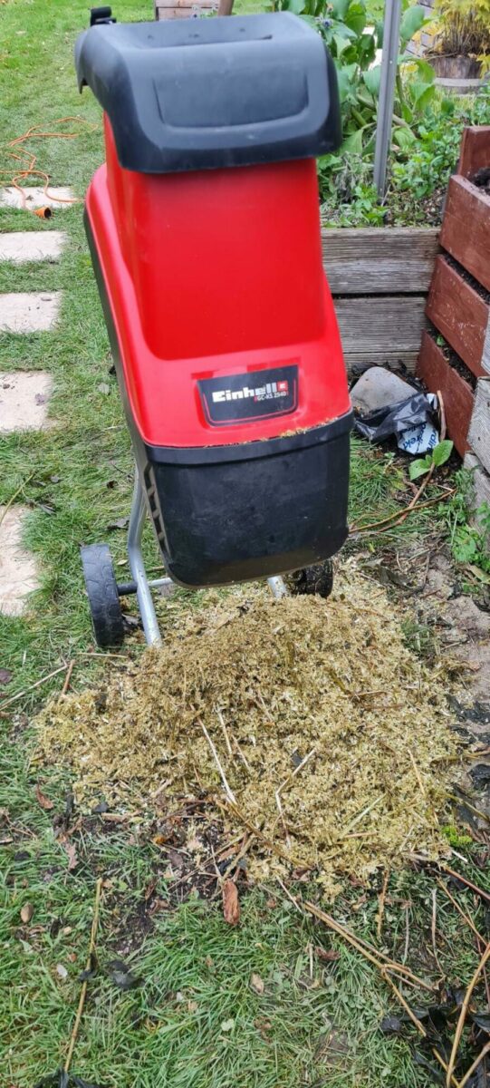 Image #1 from Alfred Tetzlaff