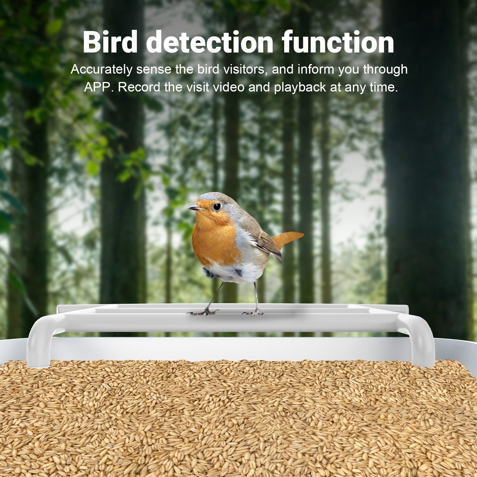Smart AI Recognition Bird Feeder Camera - SNAPPYFINDS.COM ™