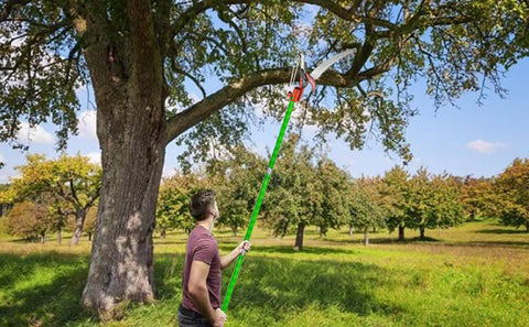 Professional 26 Ft Tree Pole Pruner Tree Saw