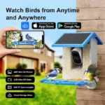 Smart AI Recognition Bird Feeder Camera