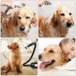 Portable Pet Hair Grooming Dog Dryer - SNAPPYFINDS.COM ™