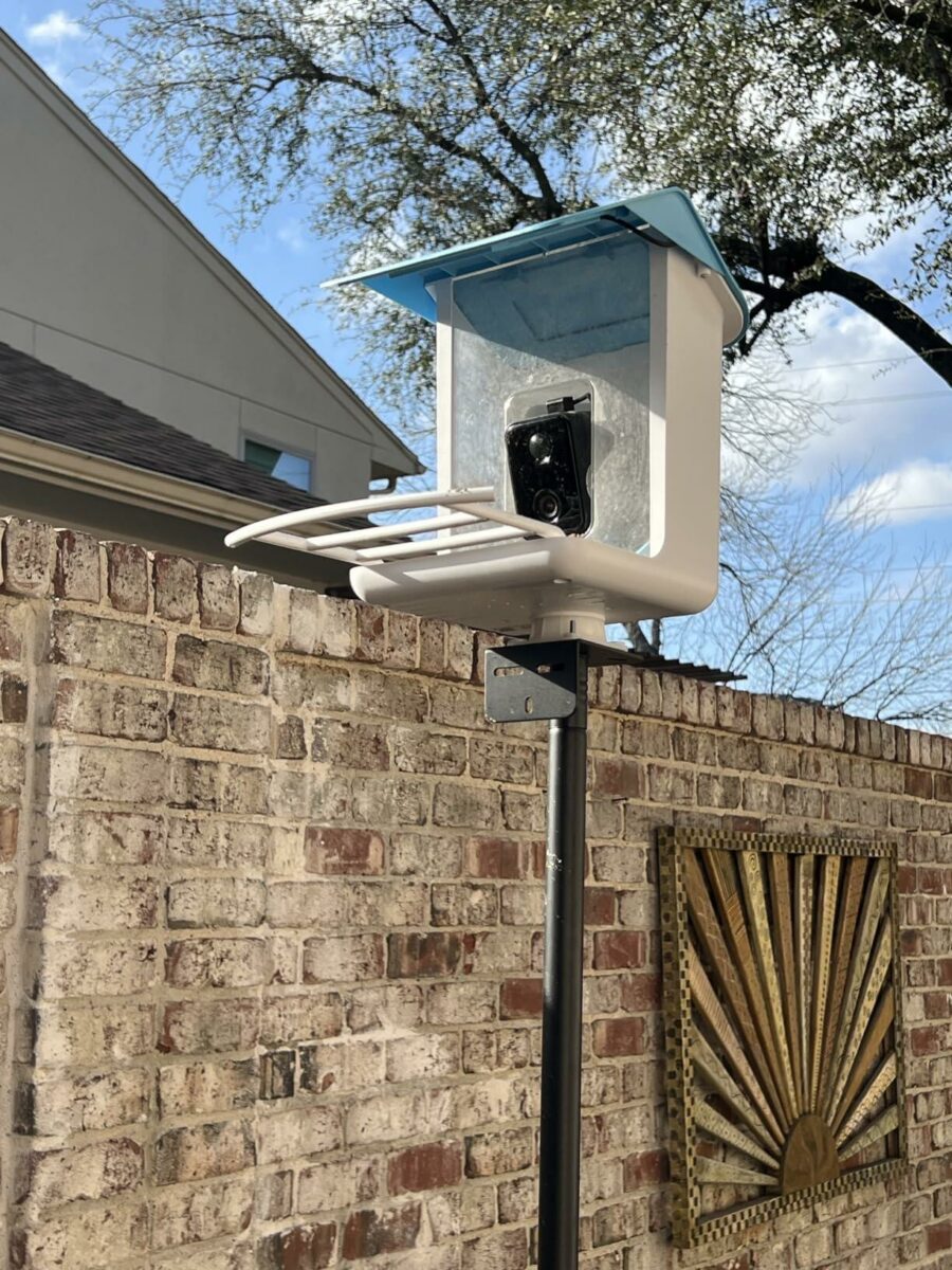 Image #1 from Pattyh