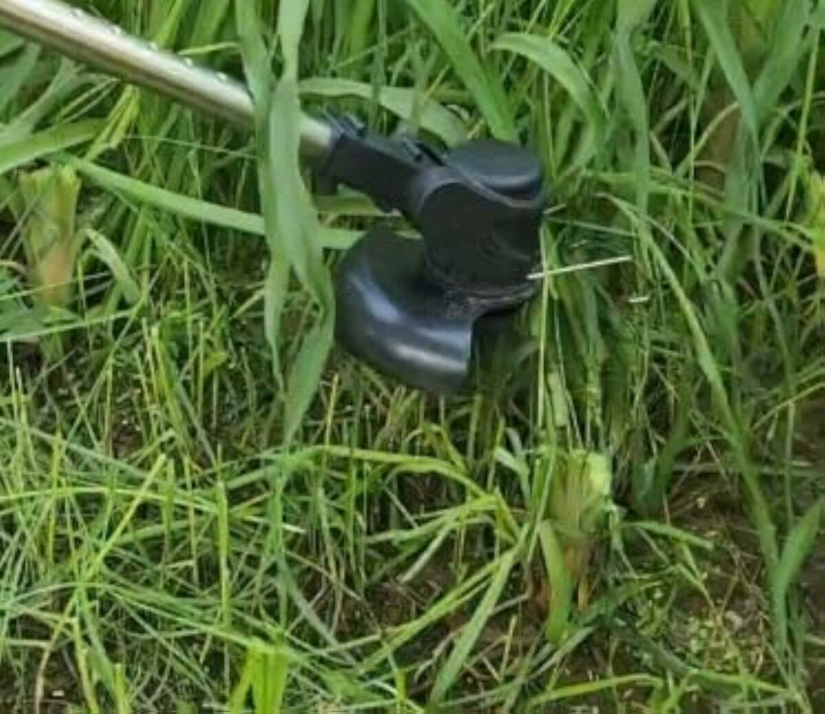 Image #1 from Audra Dillard