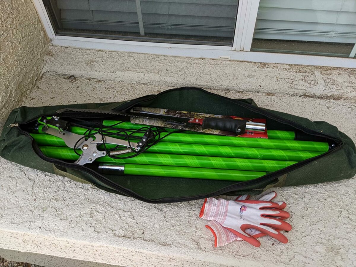 Image #1 from Michael