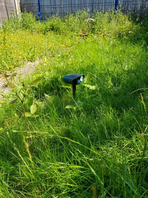 Image #1 from Danny G