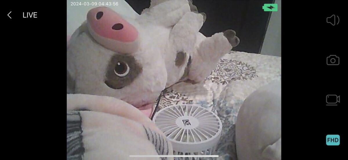 Image #1 from Jason K Ausmus