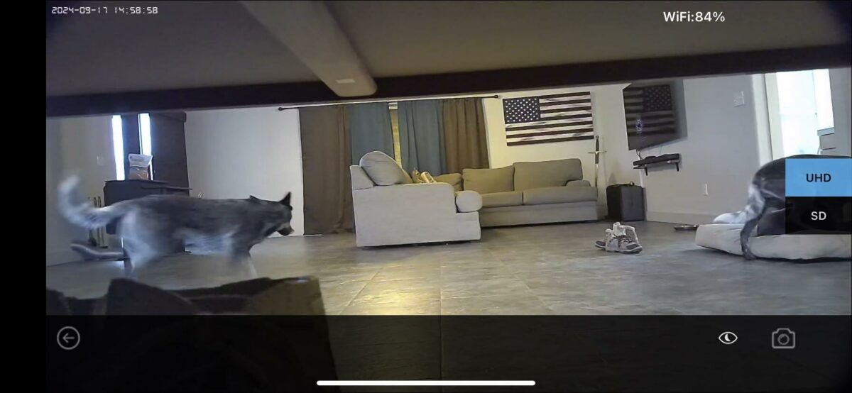 Image #1 from sabastian