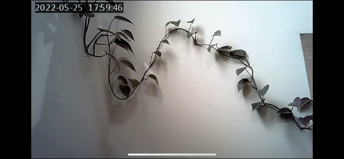 Image #1 from Jay Mcguire