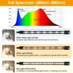 LED Plant Grow Light with Stand – 4-Tube Adjustable Indoor Lighting for Plants