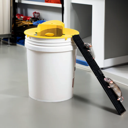 Humane Rat Mouse Trap Bucket Cove