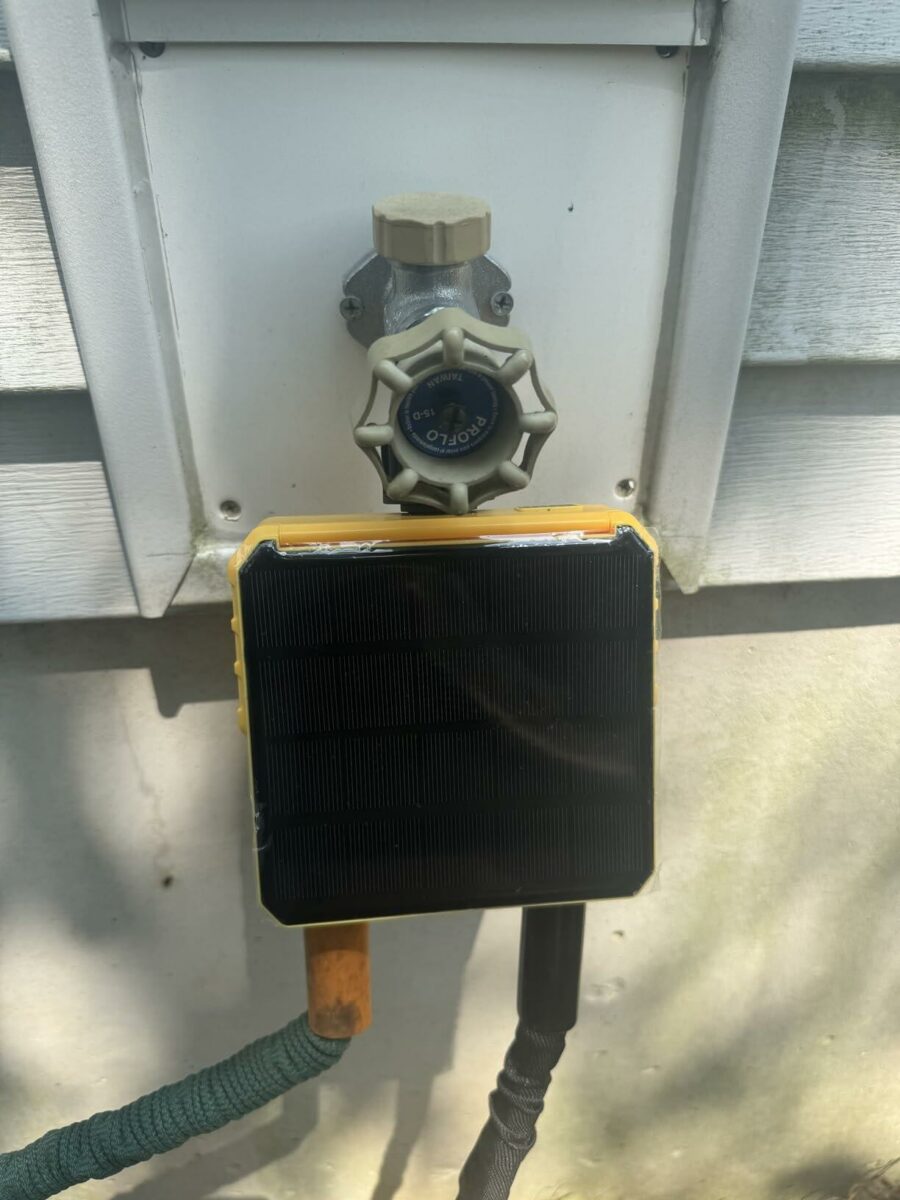 Image #1 from Cassie