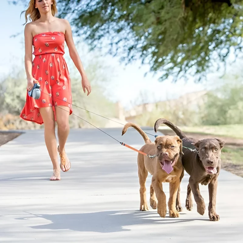 Retractable dual dog leash with 3-meter reflective leads, LED light, and 360 swivel design for small dogs and cats.