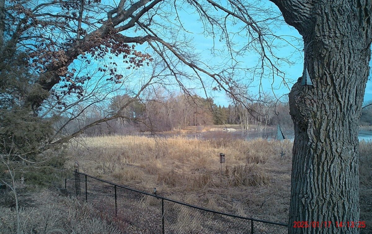 Image #1 from Gerald Wagner